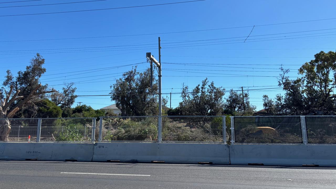 Local residents are fighting to save sensitive vegetation where trees were removed at Groves Reserve in Aspendale. Picture: Rosemary West