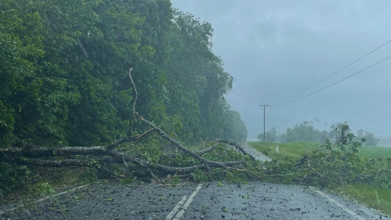 A fallen tree blocks access along Daintree-Mossman Rd. Picture: Peter Carruthers