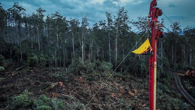 In the first forest protests since the coronavirus lockdowns, Anna Bursek stopped cable-logging logging at Mt Field by camping overnight on a porta-ledge. She was removed by a crane on Thursday afternoon, arrested and charged with trespass. Picture: BOB BROWN FOUNDATION