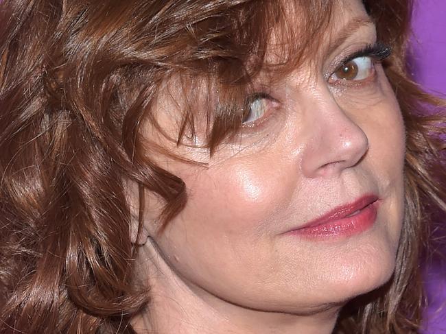 CANNES, FRANCE - MAY 17:  Susan Sarandon attends the Opening Gala dinner during the 70th annual Cannes Film Festival at Palais des Festivals on May 17, 2017 in Cannes, France.  (Photo by Pascal Le Segretain/Getty Images)