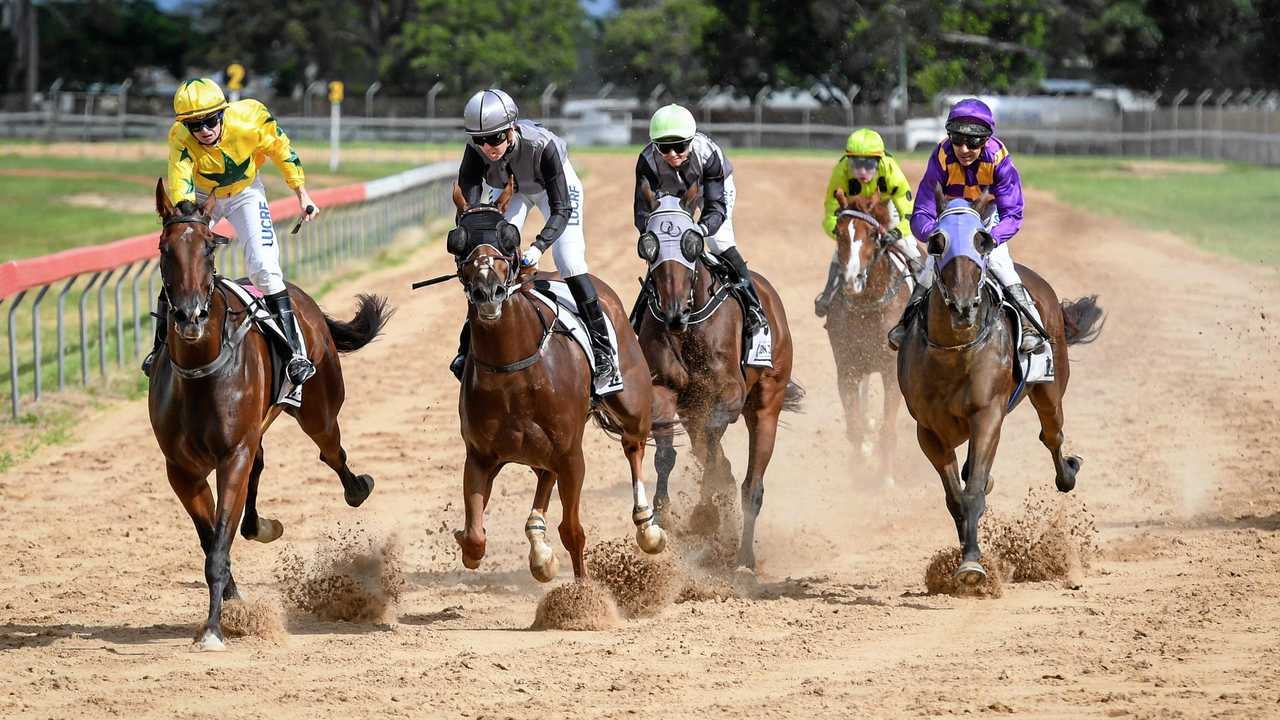 STATUS QUO: The field cross the line  in the third race on Saturday at the Bundaberg Race Club meeting. The club has no plans to follow the greyhounds to TAB. Picture: Brian Cassidy