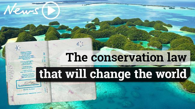 The tiny island leading the world in conservation