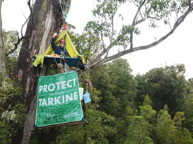 Atalaya Ferrari is one of the Bob Brown Foundation supporters who are currently camped in rainforests at Que River, in a bid to stop logging by Sustainable Timbers Tasmania. Picture: BOB BROWN FOUNDATION