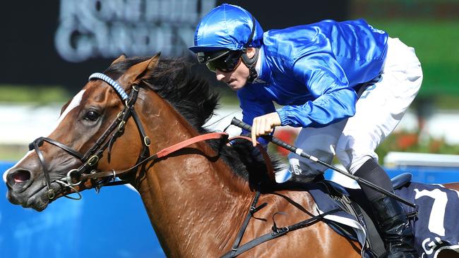 Big punter Sean Bartholemew has tipped Hartnell to win the Melbourne Cup.