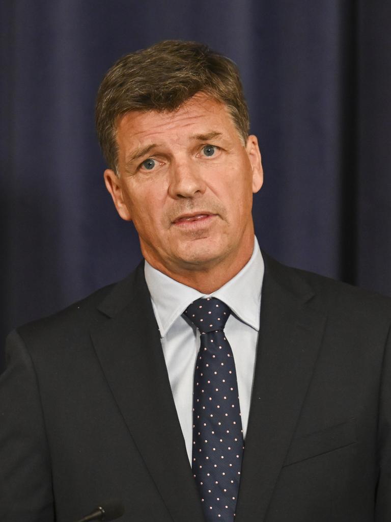 Opposition treasury spokesman Angus Taylor. Picture: Martin Ollman