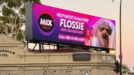 The Mix 102.3 billboard displaying a picture of the pinched pooch above the Caledonian Hotel in North Adelaide.