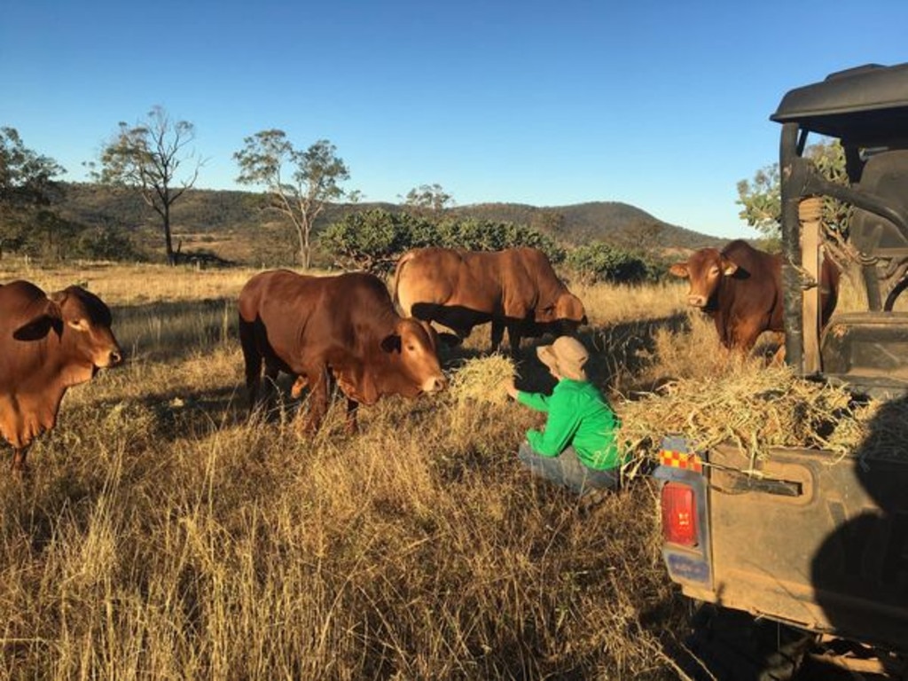 Liz Suduk on her cattle farm near Warwick (Photo: Facebook)