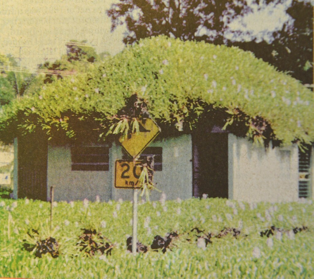 1999 FLOOD The amenities block at One Mile was left covered and surrounded by hyacinth following the Fedruary flood. Picture: Renee Albrecht