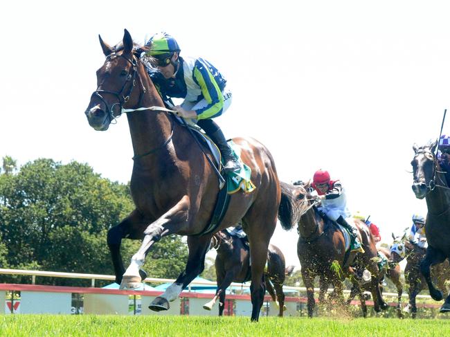 Easy Dun ridden by John Allen wins the Bidfood Maiden Plate at Bendigo Racecourse on February 27, 2024 in Bendigo, Australia. (Photo by Brett Holburt/Racing Photos via Getty Images)