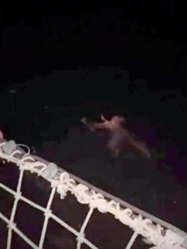 The 18-year-old was on a booze cruise ship in the Bahamas when he jumped into the water. Picture: Supplied