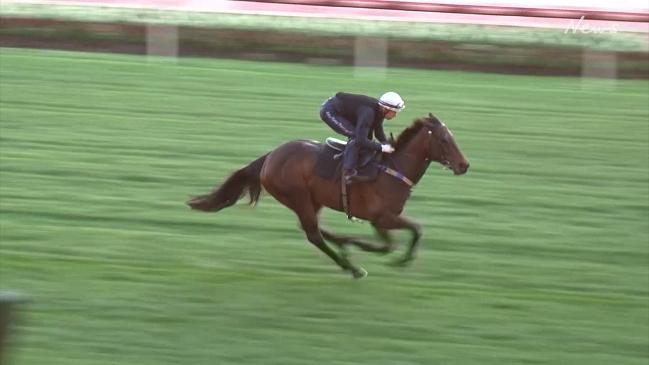 Winx galloping on Moonee Valley track 