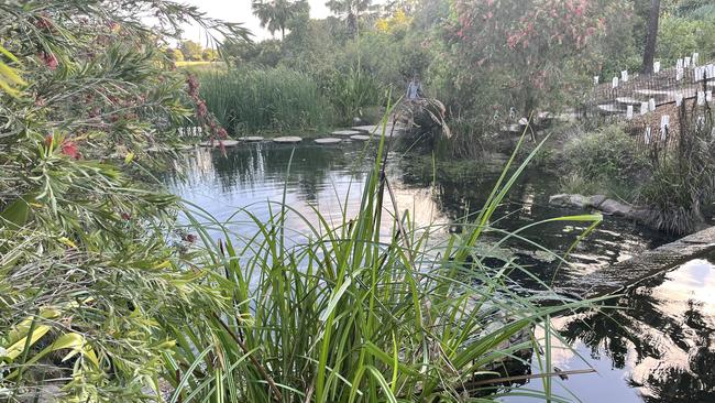 Sydney Park. Picture: Chris Griffith