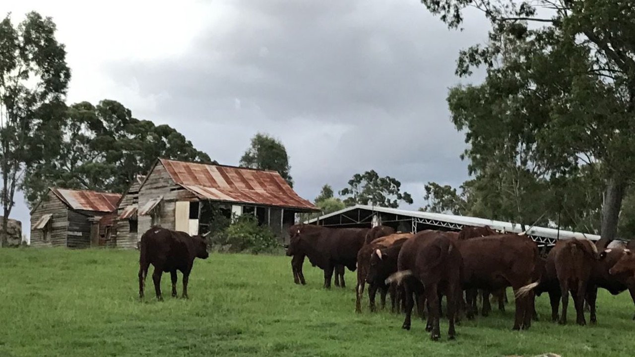 Cattle would not be able to access a creek if a school went ahead.