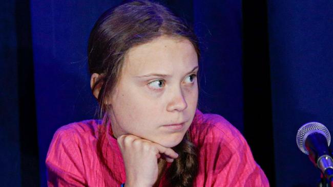 Climate activist Greta Thunberg howled at the United Nations that ‘entire ecosystems are collapsing’.