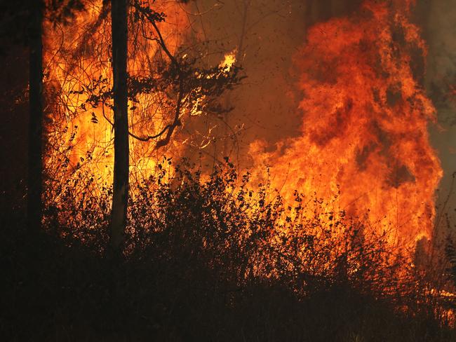 Firefighters battle bushfires in Busbys Flat, northern NSW, Wednesday, October 9, 2019. (AAP Image/Jason O'Brien)