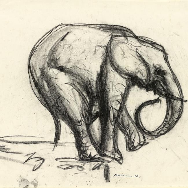 Fred Williams Elephant 1953 conté crayon 25.2 x 31.8 cm (sheet) National Gallery of Victoria, Melbourne Presented by the Art Foundation of Victoria by Mrs Lyn Williams, Founder Benefactor, 1988 © Estate of Fred Williams