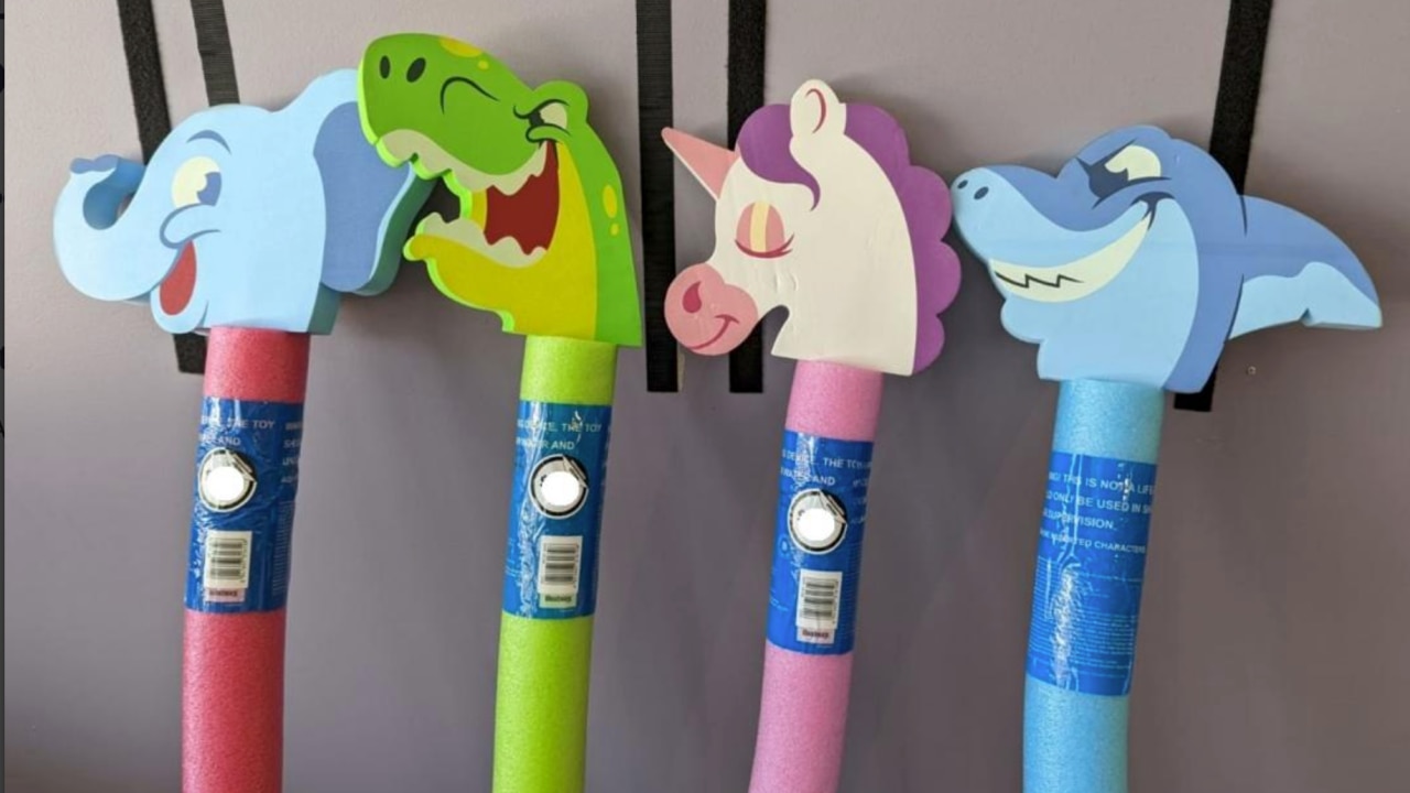 Unicorn store pool noodle