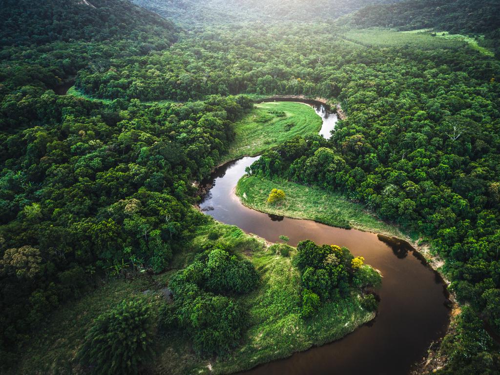 Drone footage of the Amazon rainforest. (iStock)