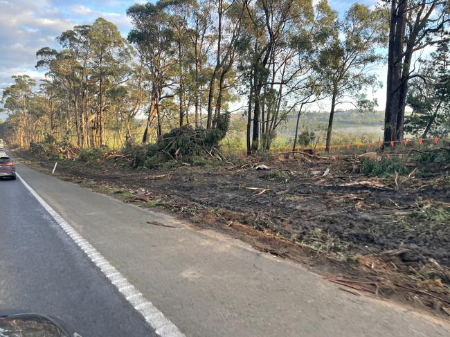 Dozens of trees were removed on the Strzelecki Highway between Morwell and Mirboo North in order to make room to construct an overtaking lane. Picture: Jack Colantuono