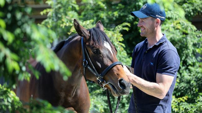 Australian horse Yucatan with Murray Bridge trainer Matthew Seyers. Picture: Russell Millard