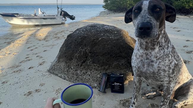 Camping with pup Yolanda on the beach.