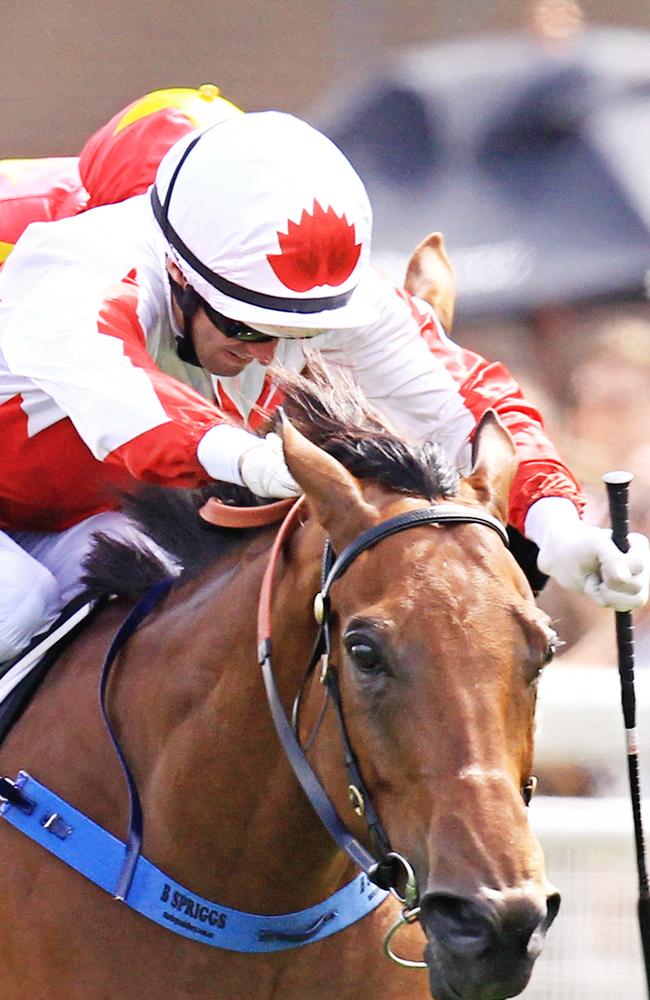 Double take? Sir John Hawkwood wins the Christmas Cup at Royal Randwick two weeks ago. Picture: Jenny Evans