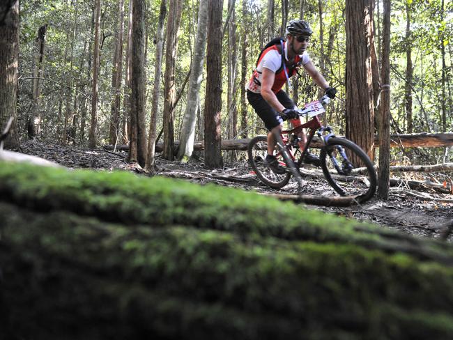 The popularity of mountain biking has increased on the Central Coast. (File image)