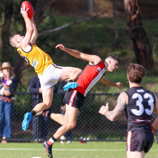 Chandler medallist Blake Pearson climbs high for Norwood. Picture: Field of View Sports Photography