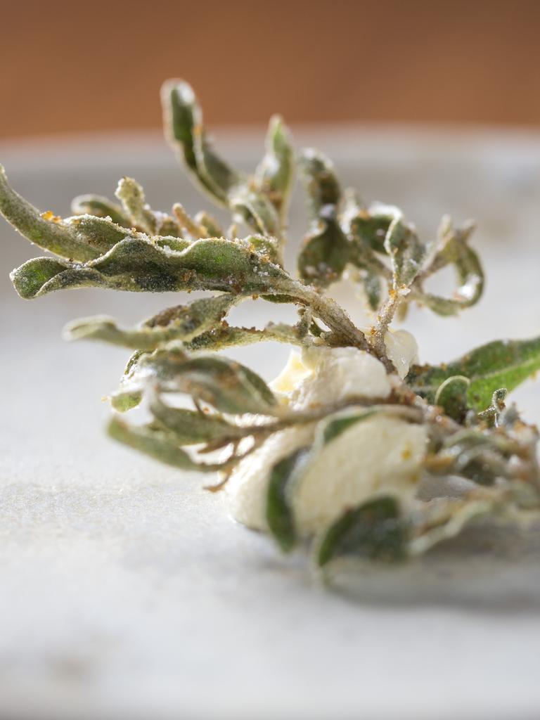 Saltbush and kutjera at Orana, Adelaide – just one example of how Jock beautifully highlighted native Australian ingredients.