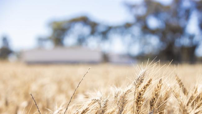 Farmers wrap up harvest. Picture: Zoe Phillips