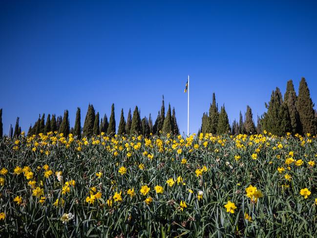 The reimagined Floriade will blooma cross Canberra this year. Picture Photox Photography Services