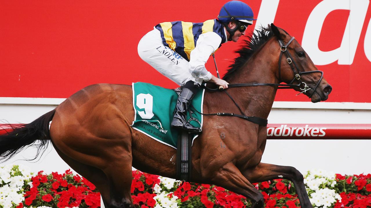 Aloisia, Ciaron Maher; Mares And Fillies In Season 