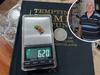 Gold rush: Exciting plans to bring treasure hunters to Mt Morgan