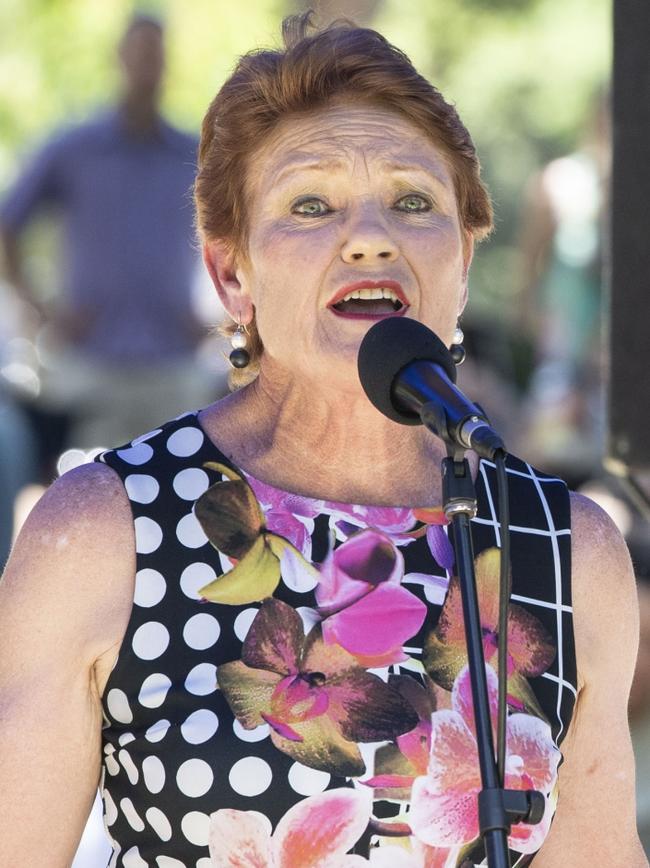 Senator Pauline Hanson has stock in Webjet. Picture: Nev Madsen.