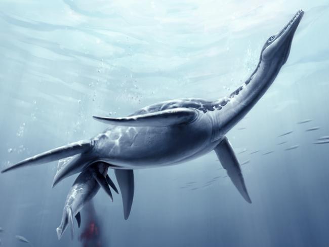 The country could again be a home to creatures like plesiosaurs.