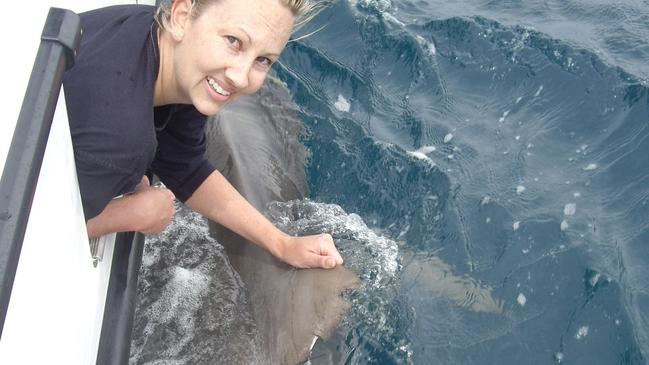 Dr Bonnie Holmes with a 3.1m tiger shark