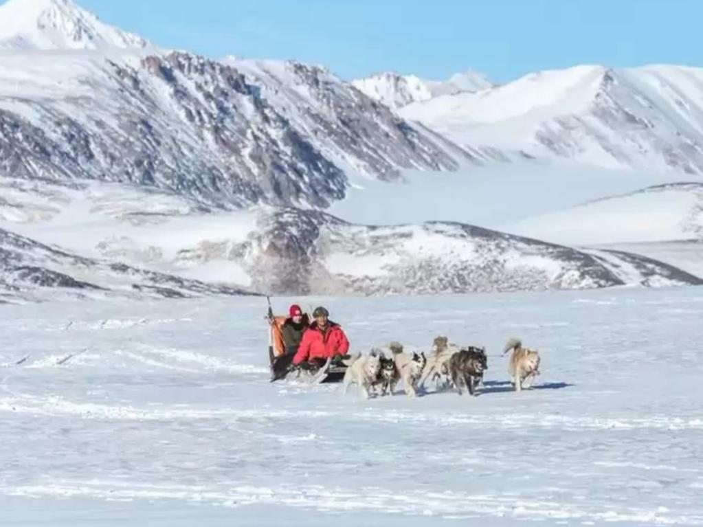 Dog sledding? Yes please. Picture: Hotels.com