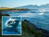Man killed by shark at tourist hotspot