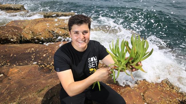 Chef Claire van Vuuren is photographed holding pigface, one of the native ingredients that will be on the menu as part of Sunset 20 North Festival, Barangaroo. Picture: Bob Barker