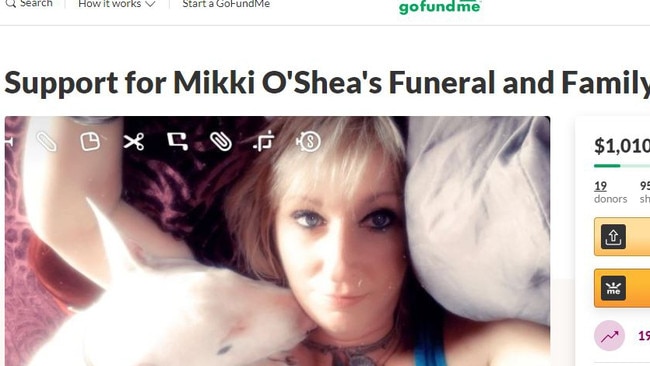 The GoFundMe page. Picture: GoFundMe screenshot