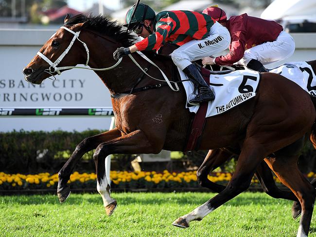 Super talent The Autumn Sun wins the Group 1 J.J. Atkins Plate during the Queensland winter.