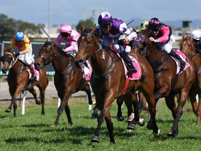 Winner of race 3 Pluck Jam risen by Daniel Griffin at the Gold Coast Races. (Photo/Steve Holland)