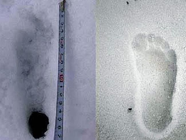 Footprints believed to be made by the yeti of Nepal and Tibet in 2008. AFP/YETIPROJECTJAPAN