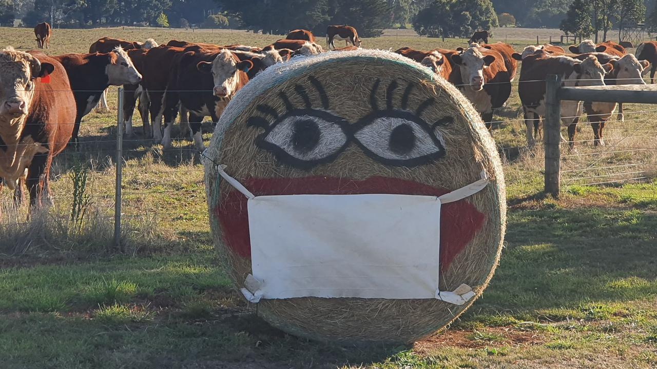 Hay art a sign of the times for safe at home fun | The Weekly Times