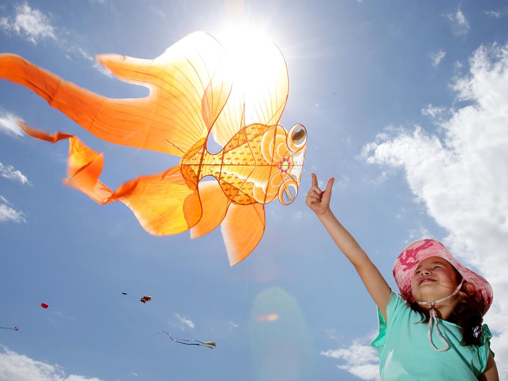 <span class="h2">KITE FLYING</span> Go fly a kite on Sunday at the Brisbane Kite Festival at the Murarrie Recreation Ground. BYO kite or buy one for one of the stalls. <a href="http://www.brisbanekitefestival.com.au/">More info</a>