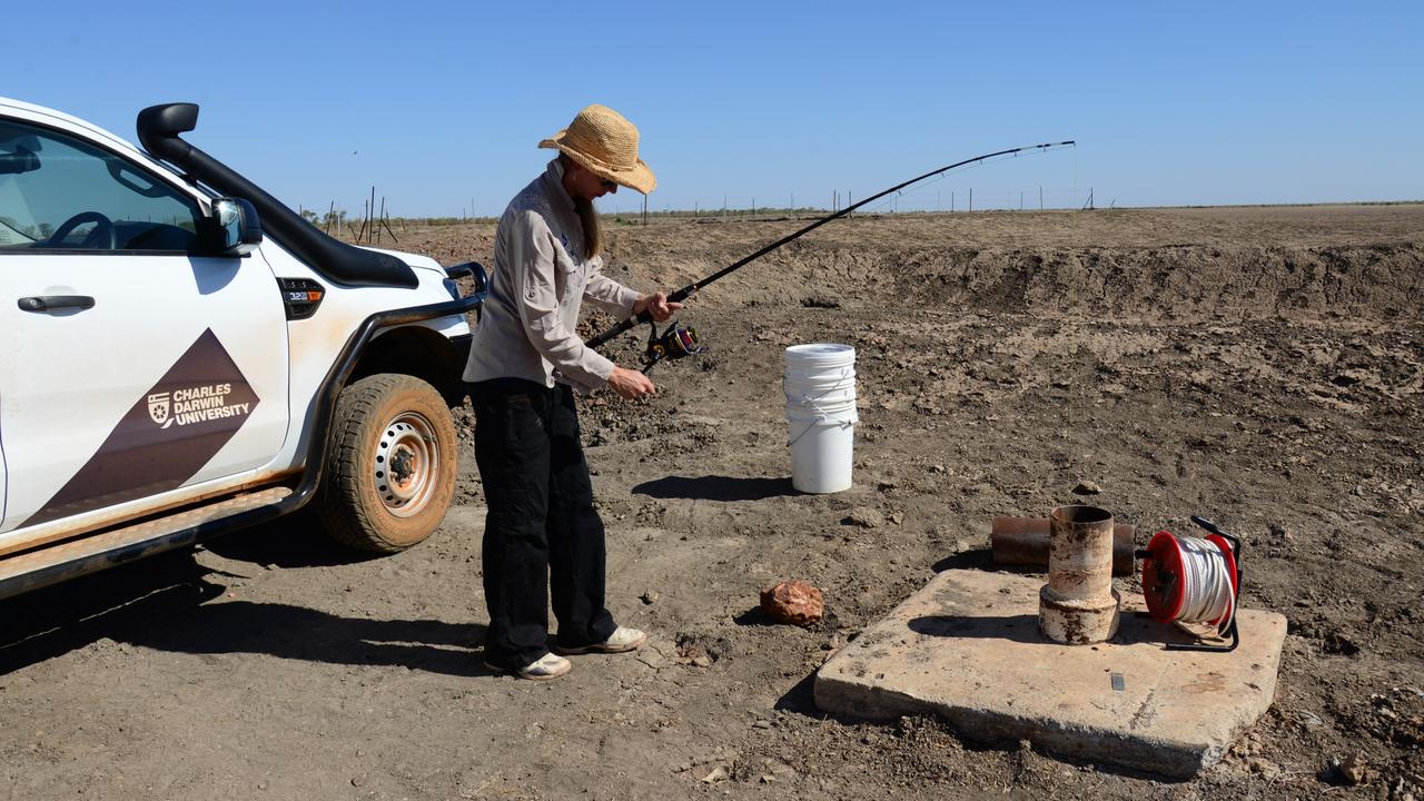 Charles Darwin University researchers tested water samples taken from underground aquatic systems at potential fracking sites at the Beetaloo Sub-basin and Roper River region to test for stygofauna.