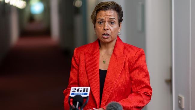 Communications Minister Michelle Rowland has said the bill aimed to “strike the right balance” between protection from harmful misinformation and free speech. Picture: NCA NewsWire/Gary Ramage