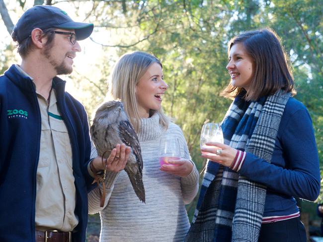 Mix local beverages with local wildlife at Wine and Wildlife at Healesville Sanctuary over the Queen's Birthday Weekend.