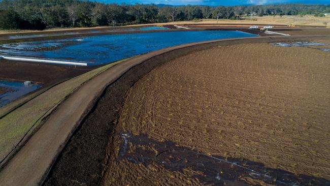 The man-made wetlands at Cedar Grove will filter the treated waste water.