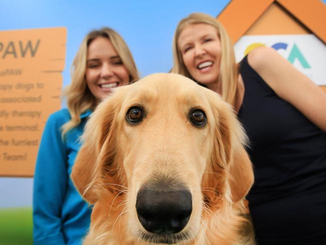 Gary’s owner Ellen Thomas and Gold Coast Airport Chief Operating Officer Marion Charlton with the man … er, dog of the moment.